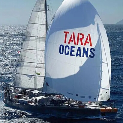 Il consorzio internazionale Tara Oceans ha raccolto dati preziosi per molte ricerche scientifiche sui virus marini a RNA
