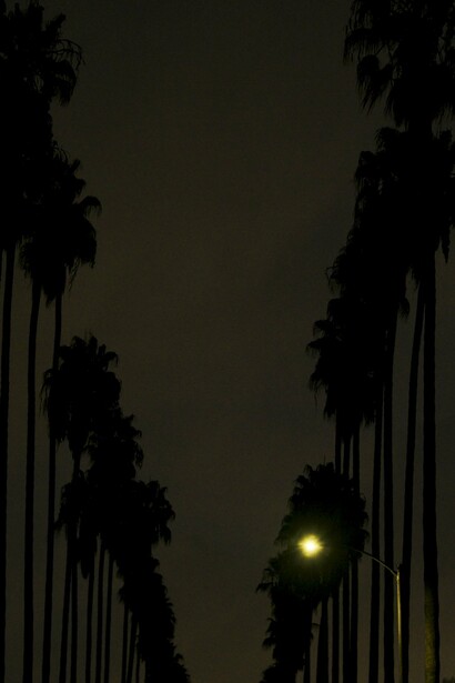 Cauleen Smith, The Wanda Coleman Songbook, 2024 (still, detail). © Cauleen Smith. Courtesy the artist and 52 Walker, New York