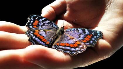 Constantemente están ocurriendo acontecimientos de transformación positiva