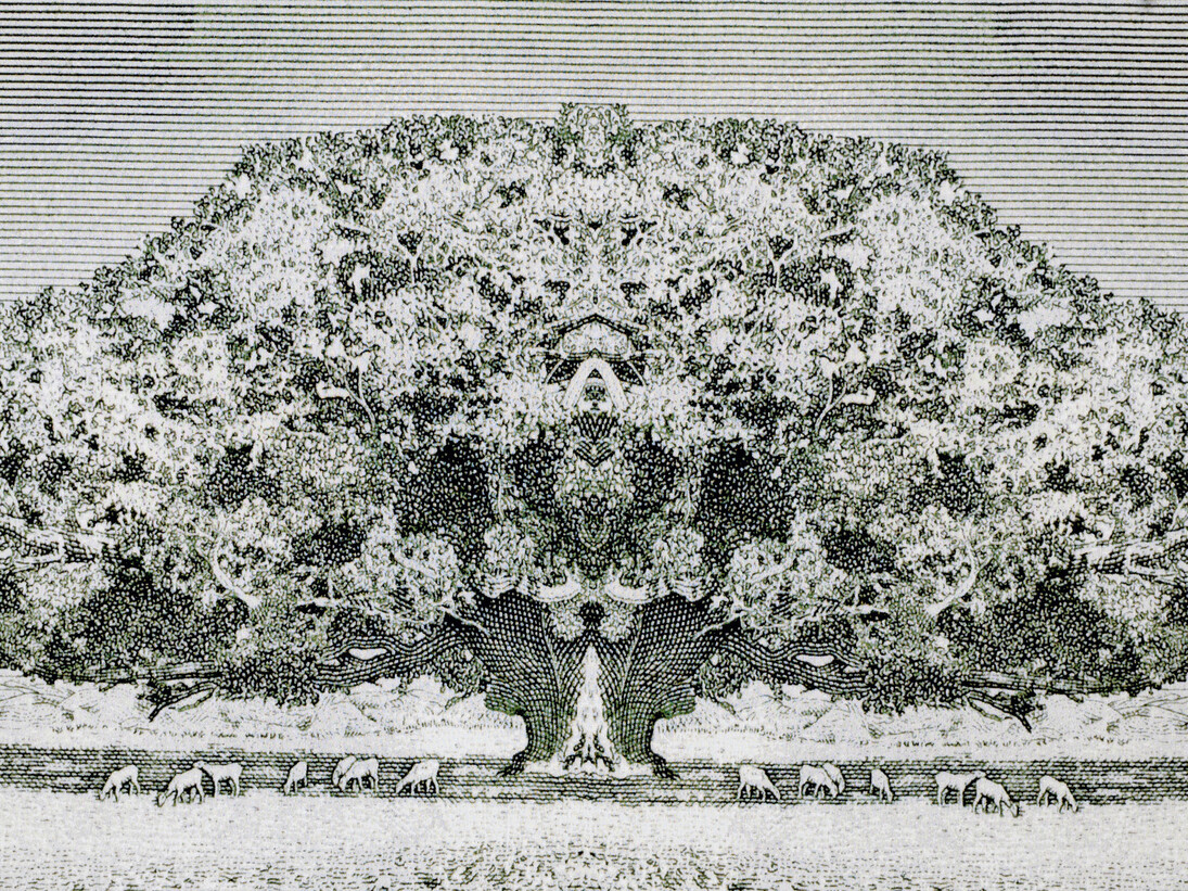 Santiago Montoya, Goodtree, 2013, Jacquard tapestry, 
183 x 373 cm
