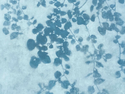 David Kidd-Afterglow Light-Thomas Deans