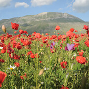 Umbria Green Festival 