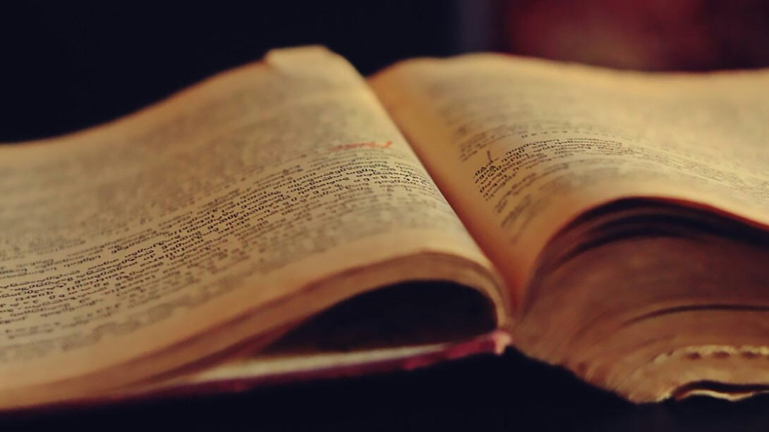 An open old book with torn pages tells stories not just through its words