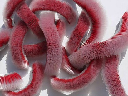 Rachel Britch, Red Interior Wall Piece