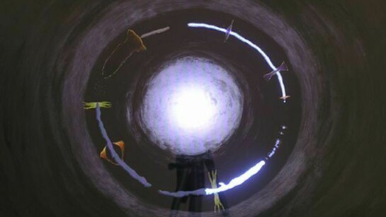 Guido Canziani Jona, Im-pulse, 2012, audio and video, Galerie Mario Mazzolil Berlin