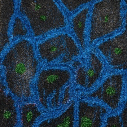 Red Telephone. Courtesy of Fierman