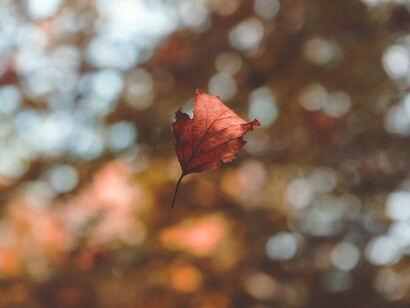 Autunno, passaggio dallo Yang allo Yin