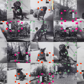 Moyra Davey, Trinity Dogs, 2015, 20 b&w digital C-prints, tape, labels, postage, ink, each: 12 x 12 inches (30.48 x 30.48 cm), overall: 48 x 60 inches (121.92 x 152.40 cm), Photo: Marcus Leith, Courtesy of greengrassi, London