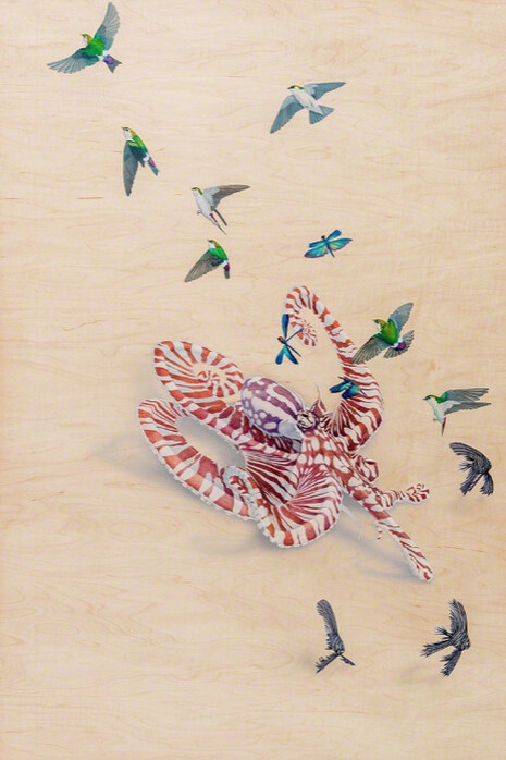 Spectrum. Courtesy of Joshua Liner Gallery