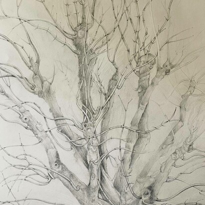 Io sono l’albero, disegno di Mariella Busi de Logu