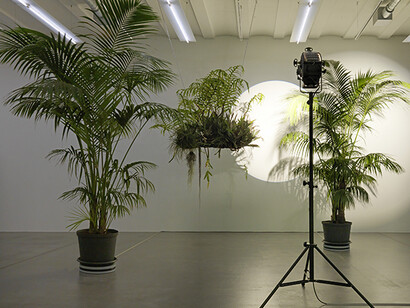 Cerith Wyn Evans
Still life (In course of arrangement...) V, 2017
Installation view, Museum Haus Konstruktiv, Zurich, 2017 © Cerith Wyn Evans, courtesy Museum Haus Konstruktiv Photo: Stefan Altenburger © Museum Haus Konstruktiv
