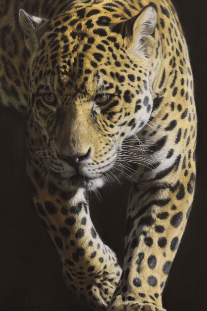 Gary Stinton, Jaguar - Large as Life V, Pastel on museum board, Signed, 26 x 16ins (66 × 40.5 cm)