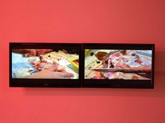 Malek Gnaoui, Black Sheep Fabrica, 2014