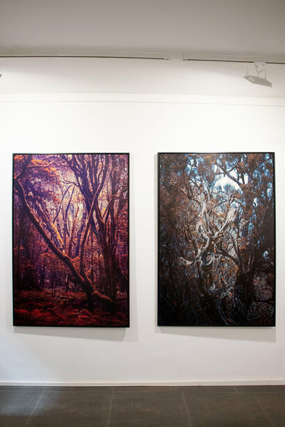Verschiedene künstler, Roots, ausstellungsansicht. Mit freundlicher genehmigung der Luisa Catucci Gallery