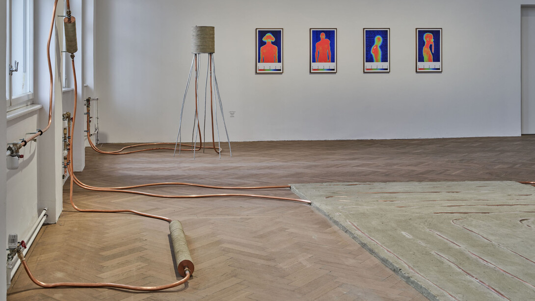 Judith Fegerl, Calorie, exhibition view. Courtesy of OK Linz 