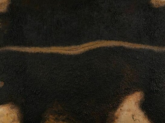 Yan Bing, detail of Five Cows No. 3, 2011, Oil on canvas 63 x 110 inches. Image courtesy of the artist and RH Contemporary Art