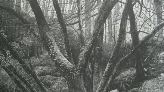 Kennall Vale, Cornwall Study I, Etching and aquatint, 39.2 x 60.6 cms (i)