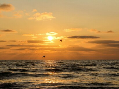 Para libertar e cultivar uma mente livre é preciso pensar inovadoramente: ver as coisas como mutáveis. Pensar a partir do símbolo, hermenêuticamente, sem medos, tabus ou preconceitos