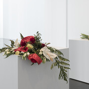 Undefined Territories. Courtesy of Museu d’Art Contemporani de Barcelona (MACBA)