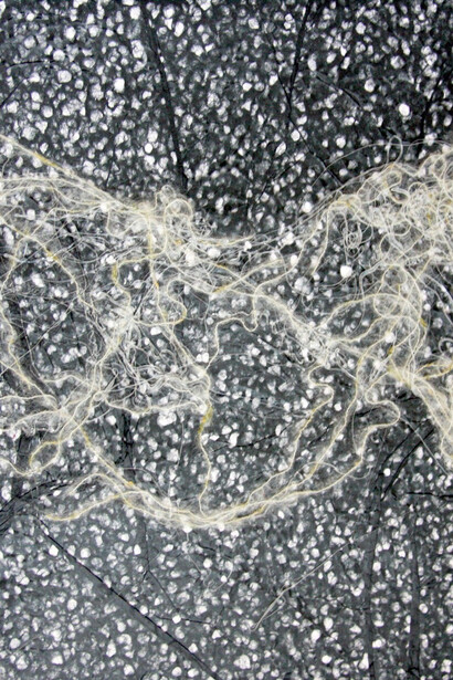 Enam Gbewonyo, Cyclosa,  Mixed media on paper, 2010, 61 x 76 cm
