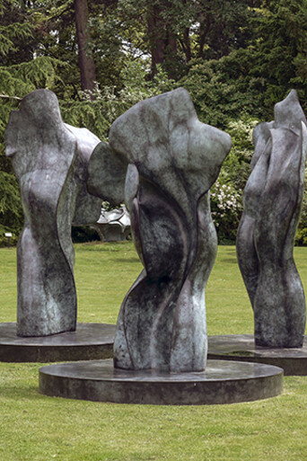 Helaine Blumenfeld, Space Within. Leicester Botanical gardens