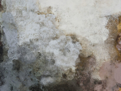 Terra Bruciata. Courtesy of Court Tree Collective