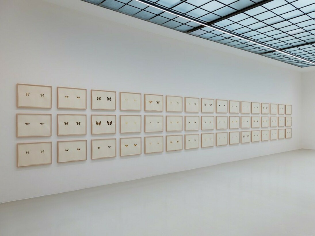 Maximilian Prüfer, Exhibition view. Courtesy of Galerie Lisa Kandlhofer