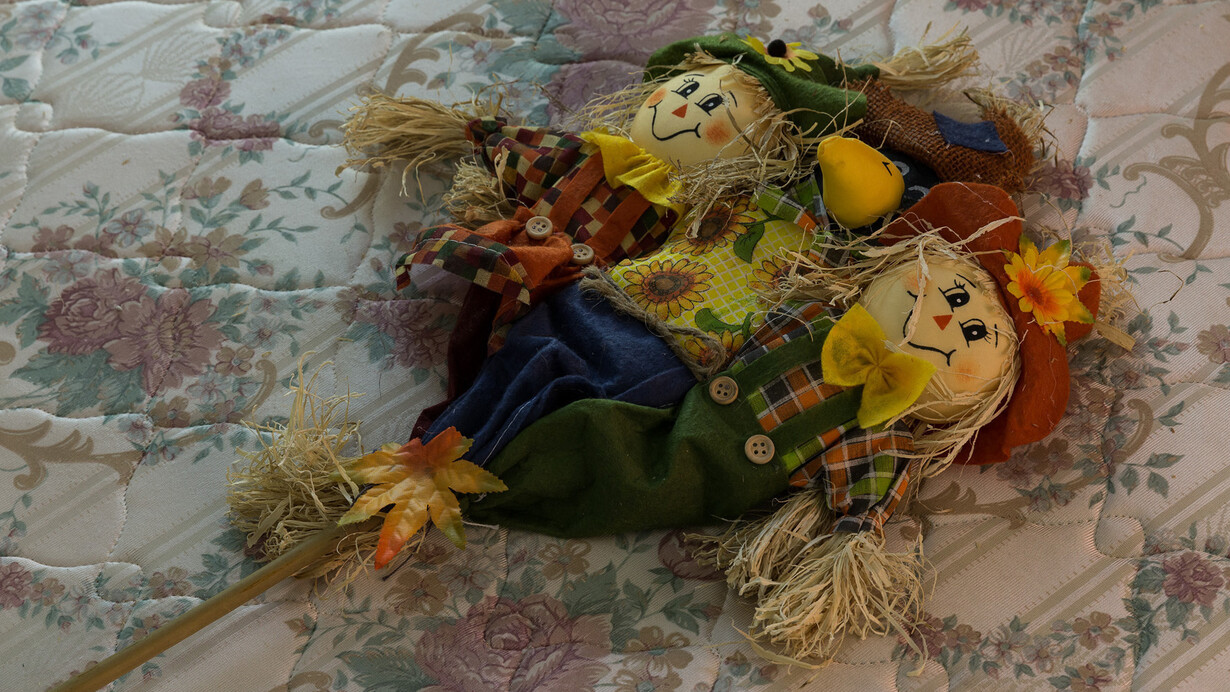 Stephen G. Rhodes, The Eleventh Hobby, 2014, detail, courtesy Vilma Gold, London