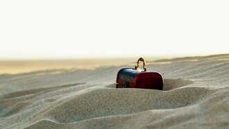 Sometimes, the most extraordinary discoveries are hiding just beneath the surface