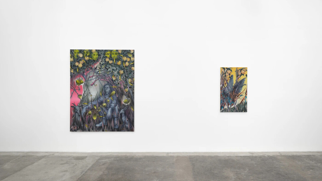 From the cloud by László von Dohnányi and Preslav Kostov, installation view of the exhibition at Baert Gallery. Courtesy of the artists and Baert Gallery. Photo by Paul Salveson