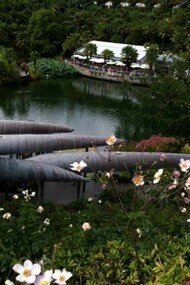 Giardini di Trauttmansdorff, coperture a canoa  ed anemoni.