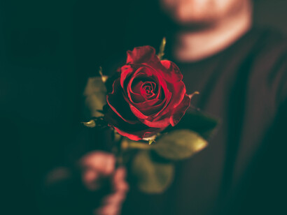 El 12 de junio es el día en el que más rosas se venden en Brasil