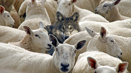 Es muy difícil detener una campaña malintencionada