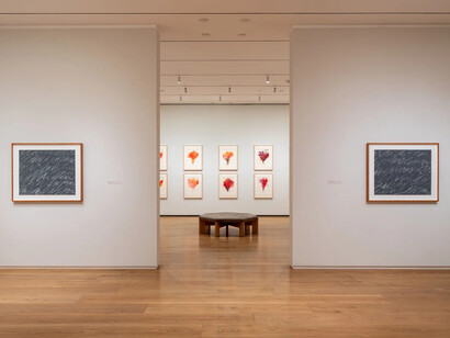 The gift of drawing: Cy Twombly, exhibition view. Courtesy of Menil