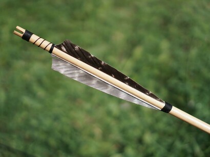 La direzione della personalità di colore verde è una freccia diretta verso l’interno e il basso