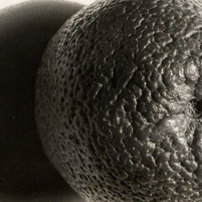 Elfriede Stegemeyer. Courtesy of Galerie Julian Sander