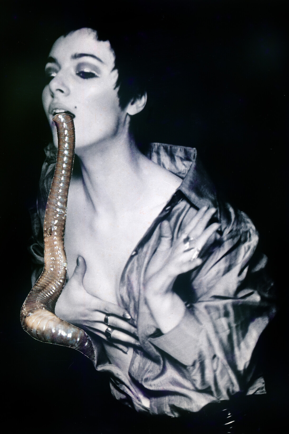 Penny Slinger, The Larval Worm, 1969/2014, C-print from original collage, 16 x 11 7/8 inches image size (40.6 x 30 centimeters)