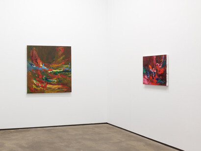 Lindsay Adams, Soil, exhibition view. Courtesy of Sean Kelly Gallery