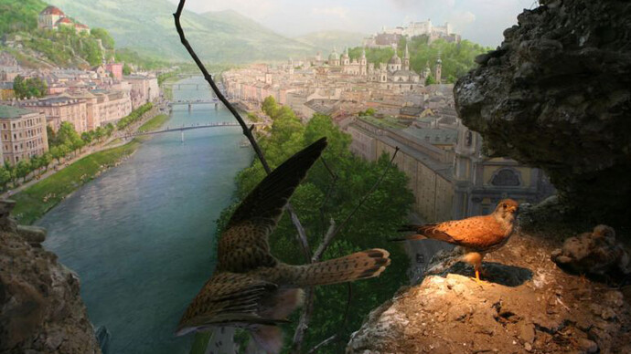 Habitats Diorama. Courtesy of Haus der Natur 