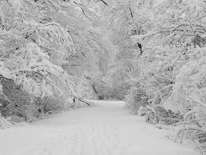 Si tiras de la cuerda, volveré...