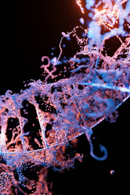 Descubramos la geometría oculta que hace posible nuestra existencia