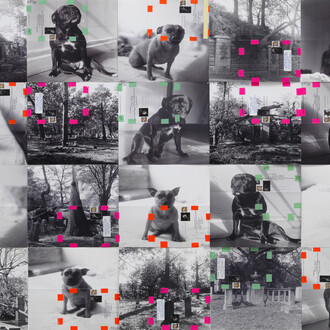 Moyra Davey, Trinity Dogs, 2015, 20 b&w digital C-prints, tape, labels, postage, ink, each: 12 x 12 inches (30.48 x 30.48 cm), overall: 48 x 60 inches (121.92 x 152.40 cm), Photo: Marcus Leith, Courtesy of greengrassi, London