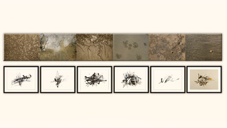 Cristina Gutiérrez; Gráfos, instalación con 6 fotografías y 6 dibujos, 2023