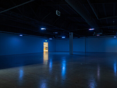 Broken world, exhibition view. Courtesy of Whangārei Art Museum