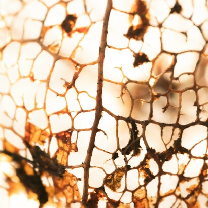 We set about deconstructing and reconstructing entire fields