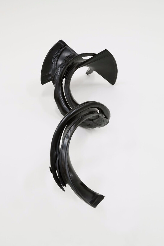 Wim Delvoye. Courtesy of Perrotin