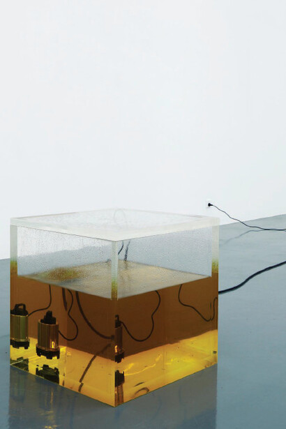 Ran Huang, License, and a Looped Promise, 2012, Acrylic Tank, Oil, Electronic Water Pump, 60 x 60 x 60 cm, Installation View, Disruptive Desires, Tranquillity and the Loss of Lucidity, Long March Space, Beijing, China, 2012