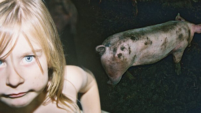 Iris Andraschek. Courtesy of Kunst Haus Wien