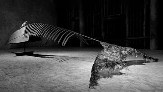Viveka Assembergs, Megattera che ingoia i pensieri che vanno e che vengono, 2013, foto Franco Mammana. Courtesy l'artista
