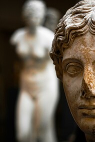 Social dementia provides no vision of enlightenment